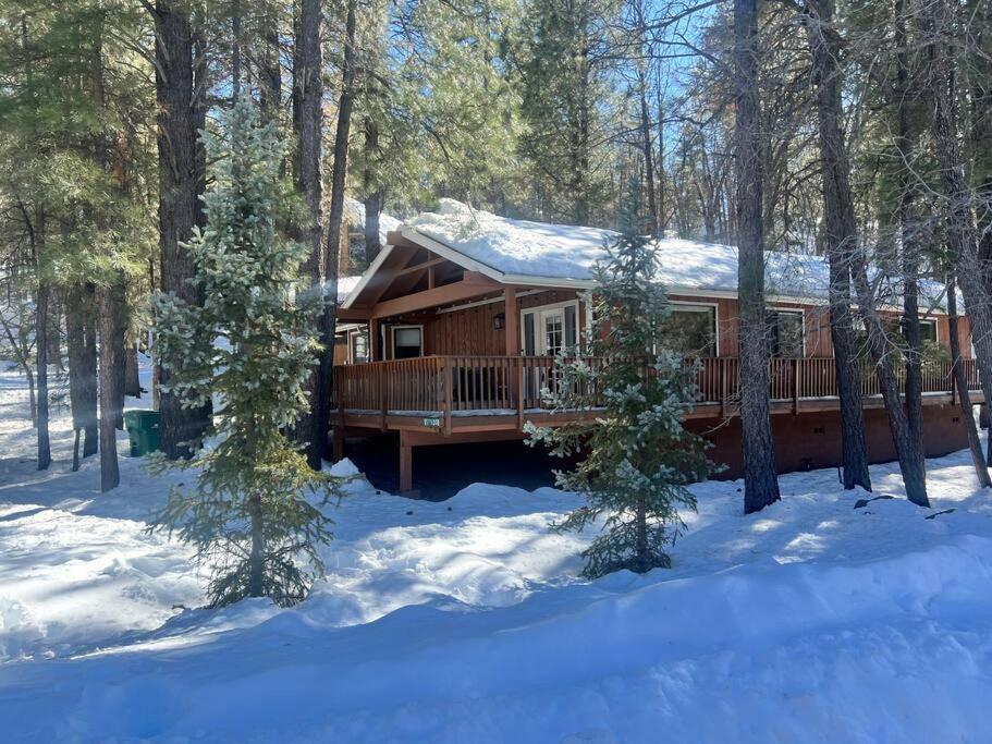 The Bluejay Cabin At Munds Park, Az! Sedona Exterior foto